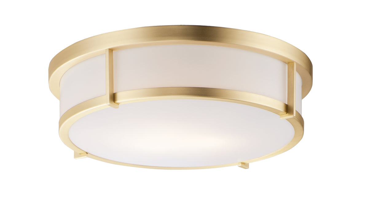 Rogue-Flush Mount