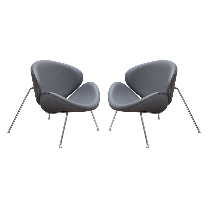 Set of (2) Roxy Accent Chair with Chrome Frame by Diamond Sofa - GREY