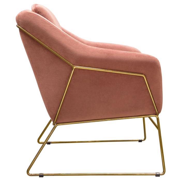 Bryce Accent Chair in Rose Velvet wrapped in Gold Metal Frame by Diamond Sofa