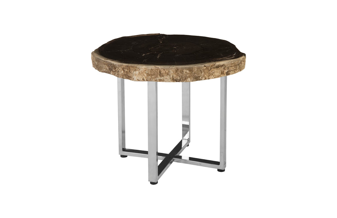 Petrified Wood Coffee Table, SS Legs