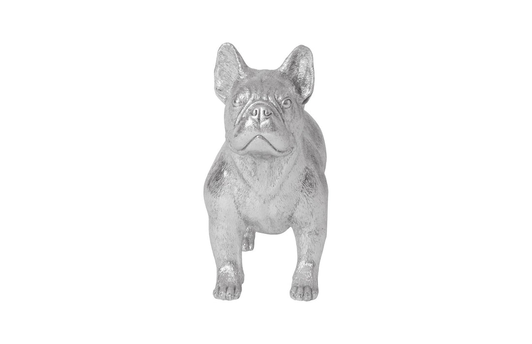 French Bulldog, Silver