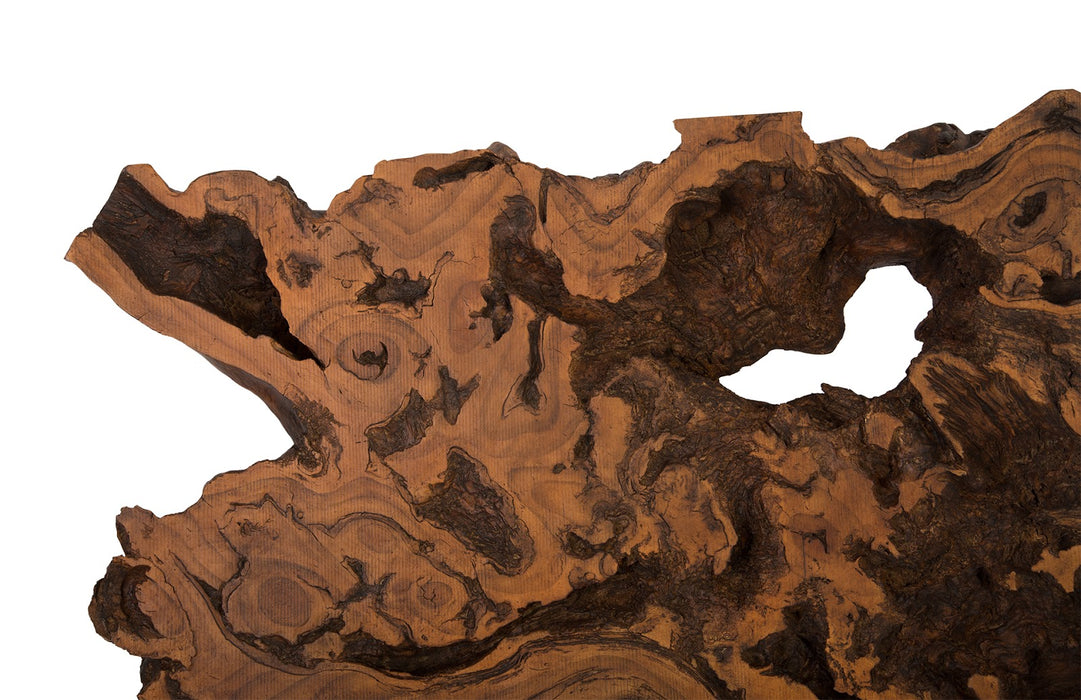 Burled Root Wall Art, Large, Faux Bois Finish