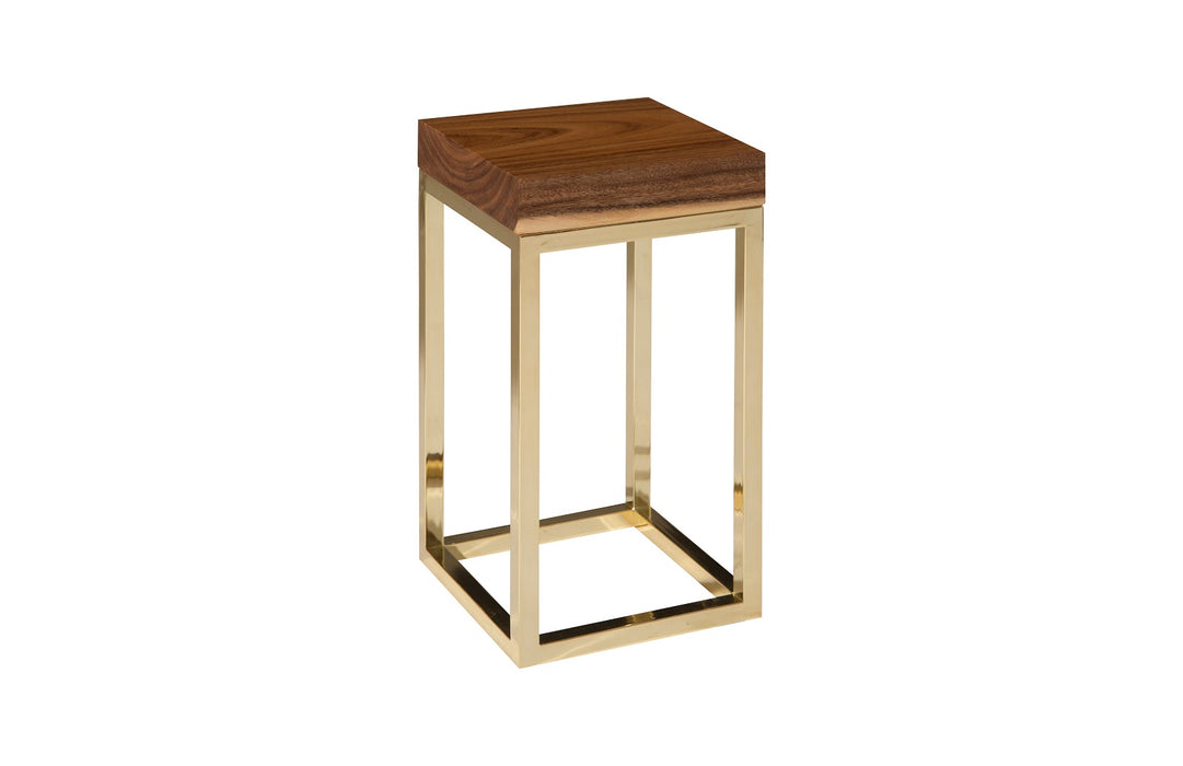 Hayden Chamcha Wood End Table, Natural, Narrow, Square, Plated Brass Base