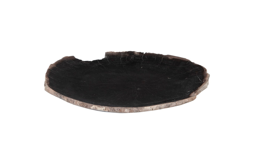 Petrified Wood Plate, Assorted Color and Shape, SM
