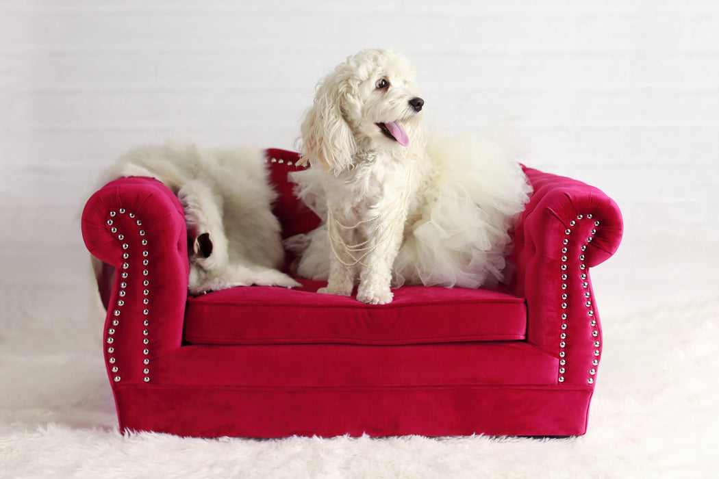 Yorkshire Pink Pet Bed