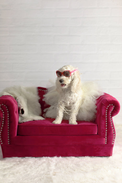 Yorkshire Pink Pet Bed
