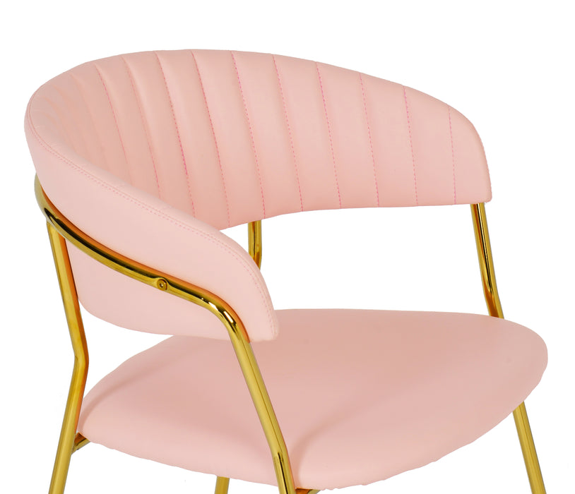 Padma Blush Vegan Leather Chair (Set of 2)