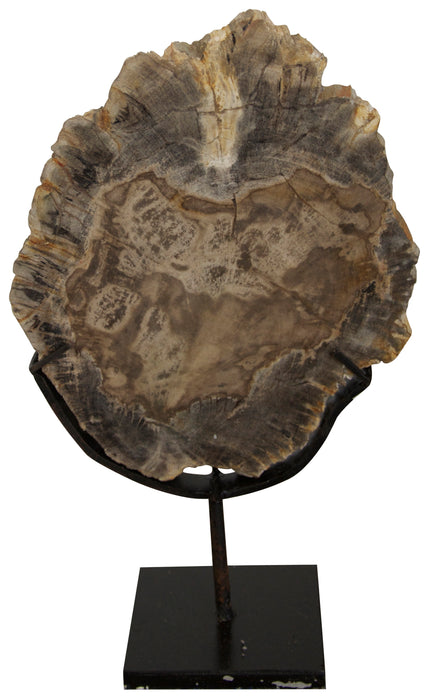 Wood Fossil with Stand, 8"