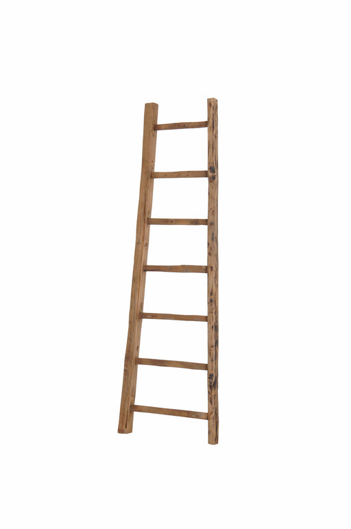 D-Bodhi Ladder