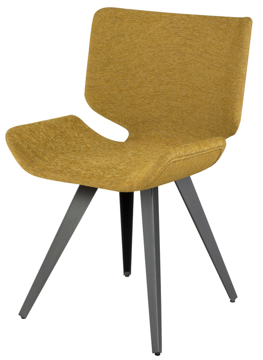 Astra NL Palm Springs Dining Chair