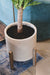 Patio Round Standing Pot - Natural