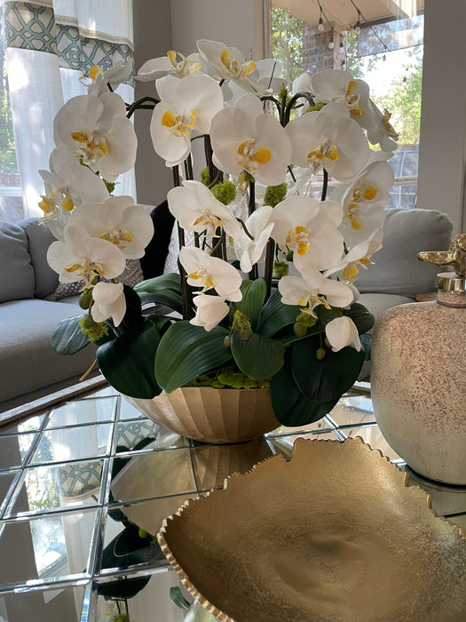 Orchid bowl 7 stems
