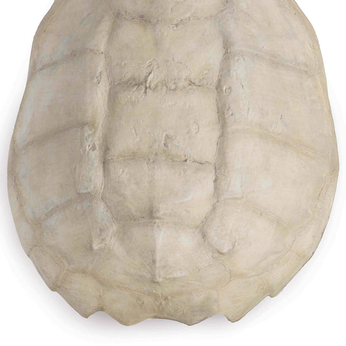 Turtle Shell Accessory (Bleached)