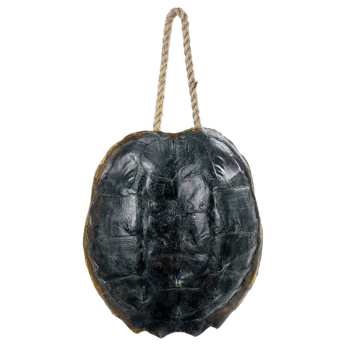 Turtle Shell Accessory (Natural)