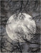 Nourison Twilight TWI17 Black and Grey 10'x14' Oversized Rug