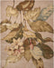 Nourison Tropics TS04 Beige 8'x10' Rug