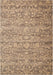 Nourison Silk Elements SKE22 Beige 5'x8' Area Rug